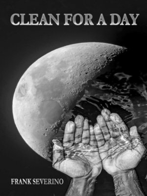cover image of Clean For a Day